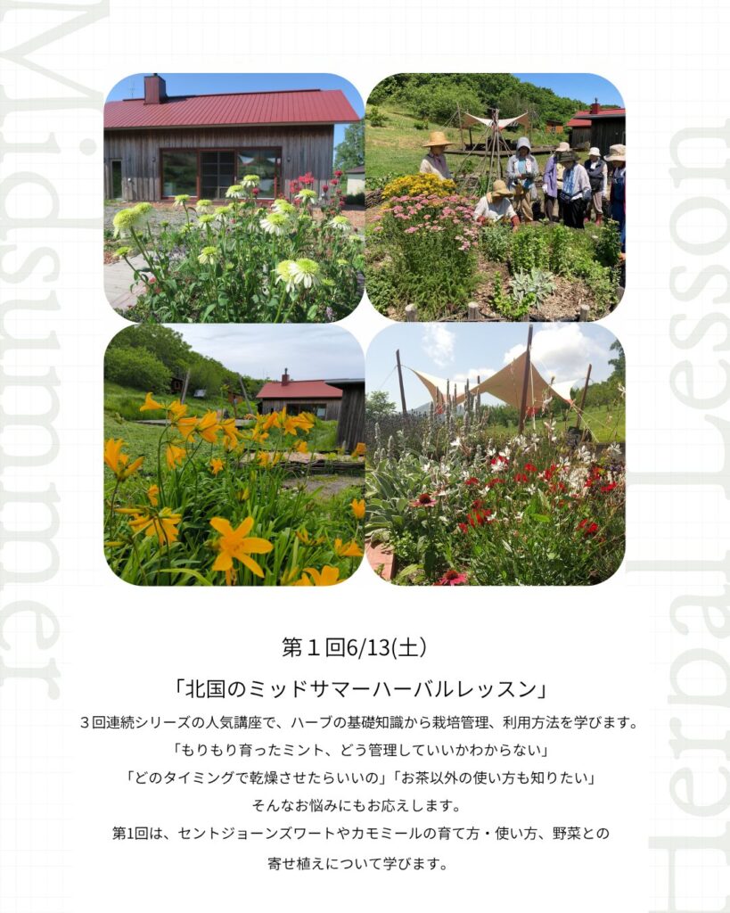 ハーバルライフを楽しむ講座
